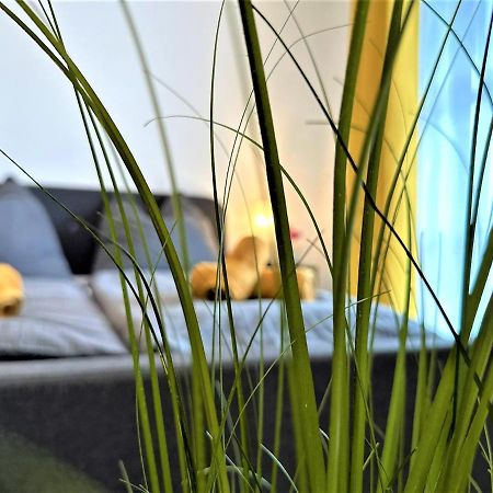 Gemuetliches Studio Im Bayerwald +Pool +Sauna +Wifi 茨维泽尔 外观 照片