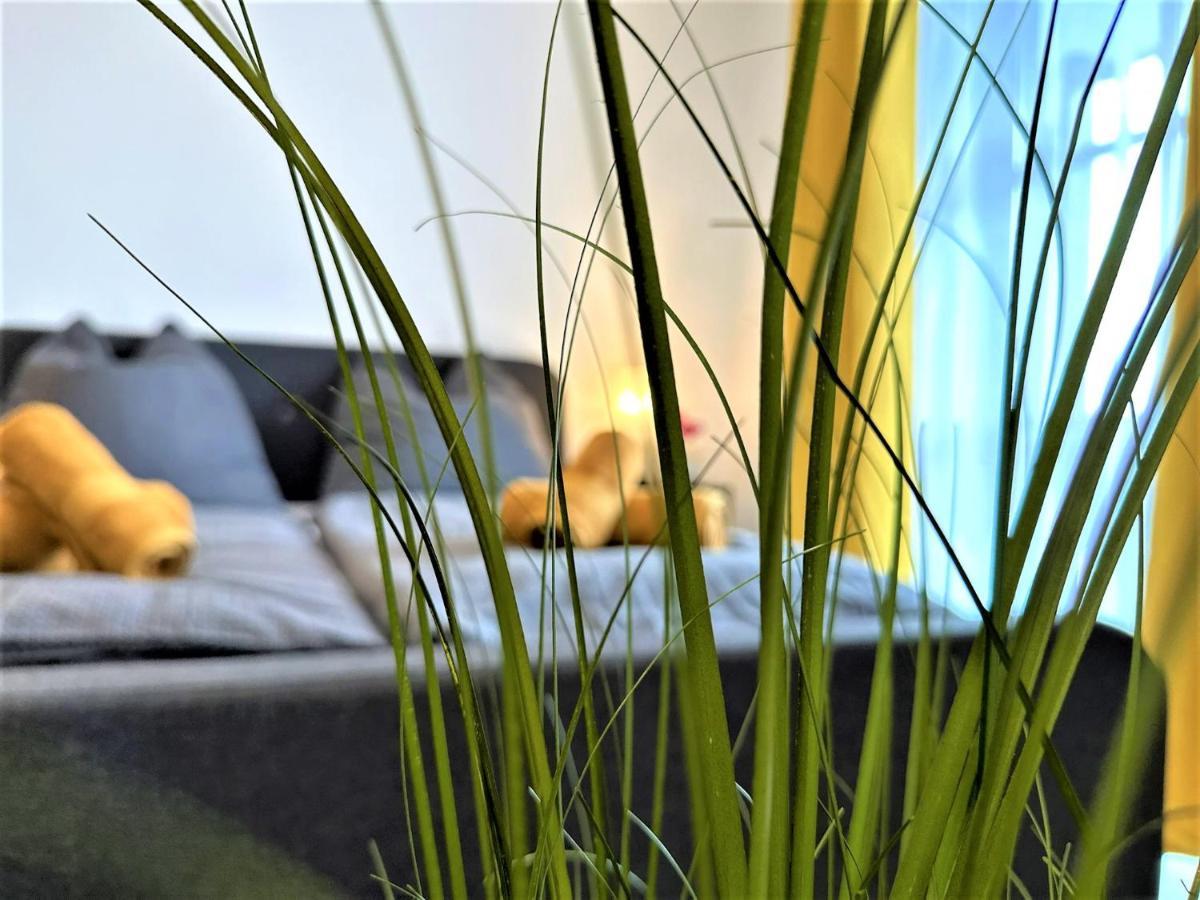 Gemuetliches Studio Im Bayerwald +Pool +Sauna +Wifi 茨维泽尔 外观 照片