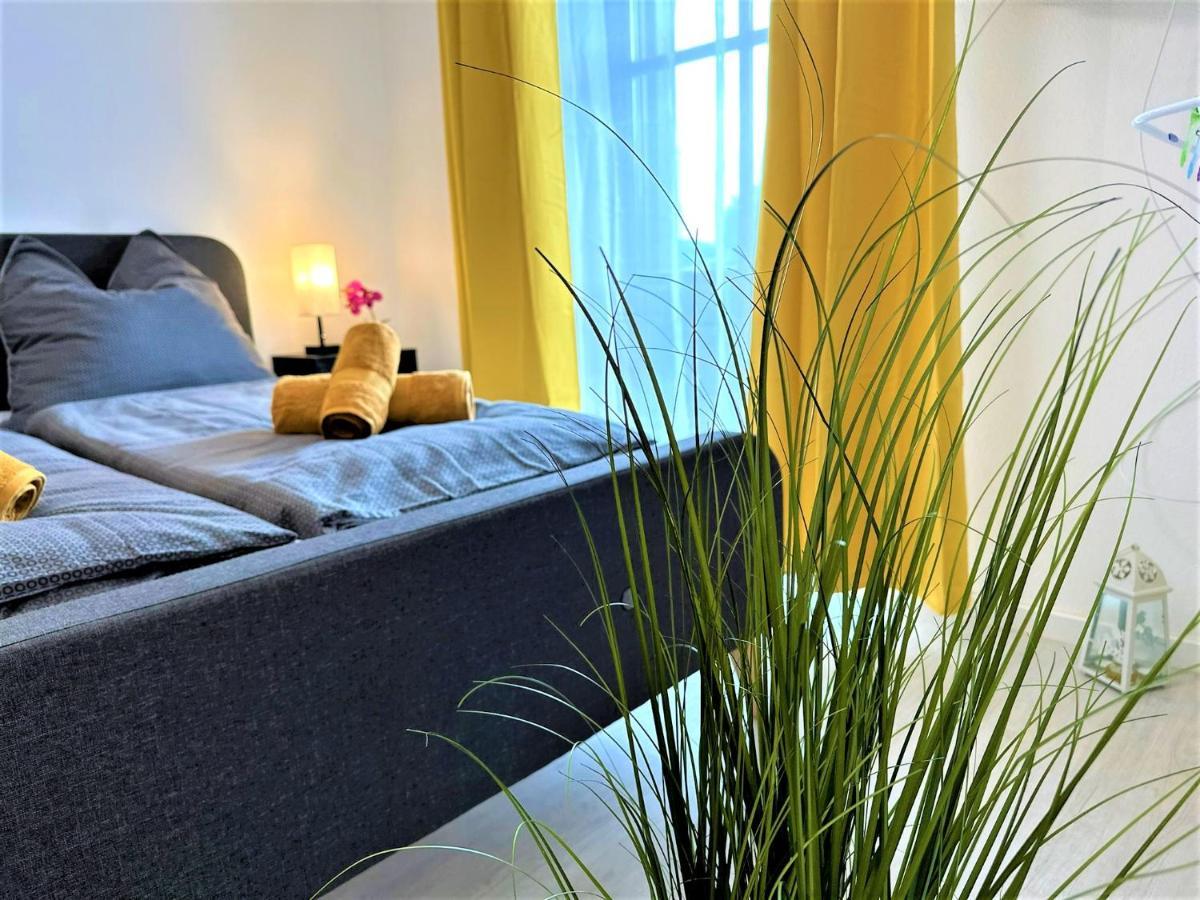 Gemuetliches Studio Im Bayerwald +Pool +Sauna +Wifi 茨维泽尔 外观 照片